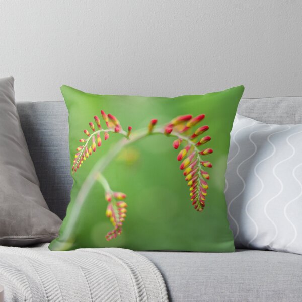 Item preview, Crocosmia Flower  designed and sold by Alisonchambers2.