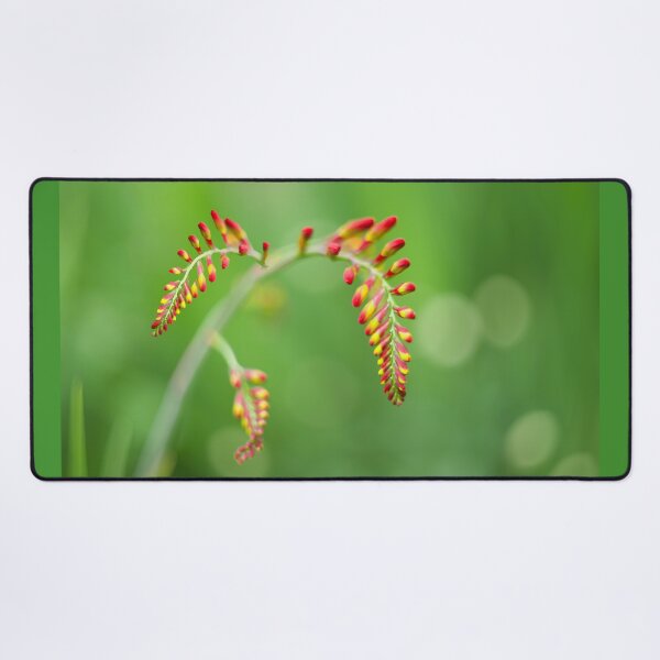 Item preview, Crocosmia Flower designed and sold by Alisonchambers2.