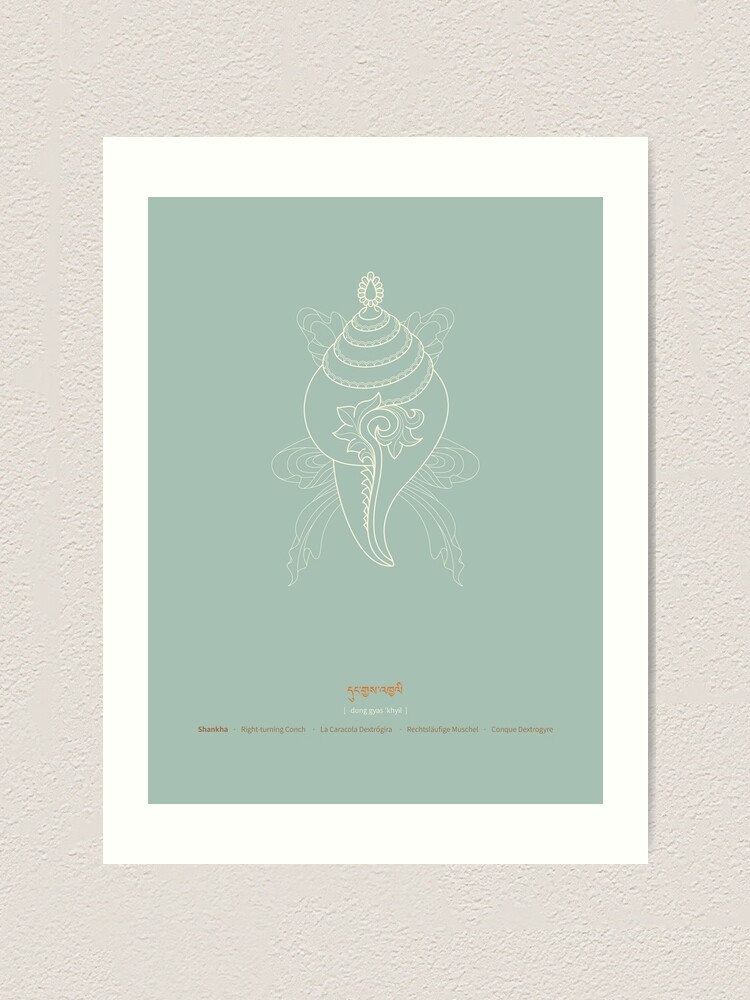 Alternate view of Shankha – Right-turning Conch Shell Art Print