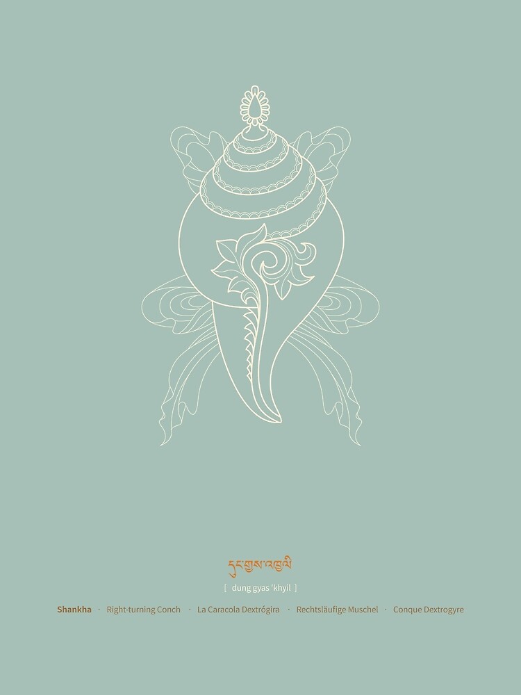 Shankha – Right-turning Conch Shell by Thoth-Adan