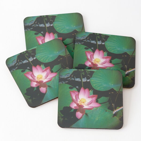 Item preview, Lotus flower designed and sold by Debjaphotography.