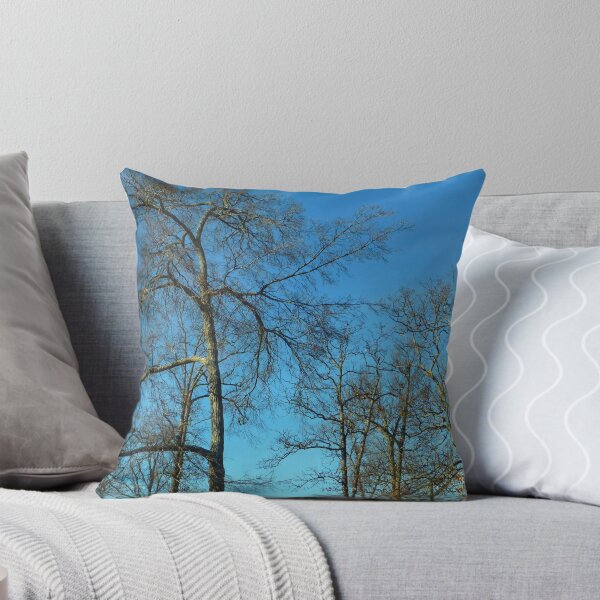 Item preview, Bare Trees designed and sold by WildestArt.