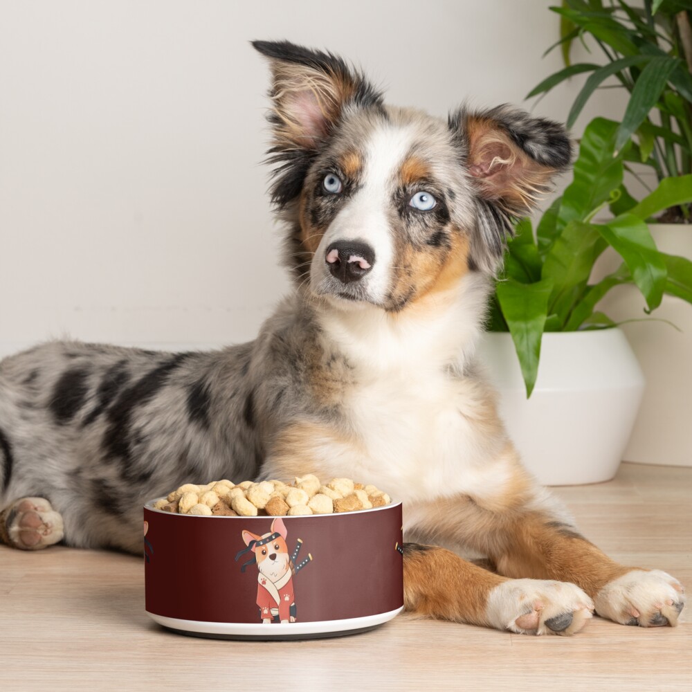 Ninja Corgi Pet Bowl