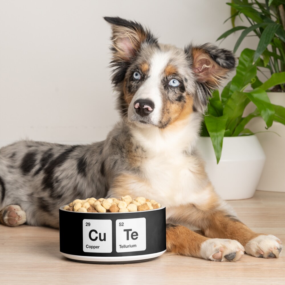 Item preview, Pet Bowl designed and sold by science-gifts.