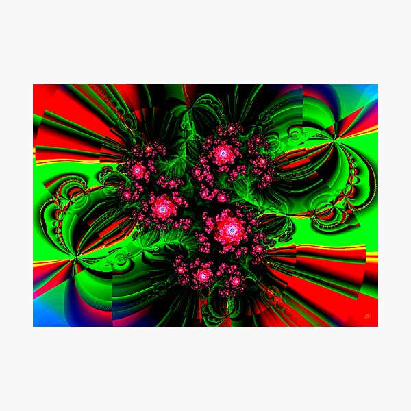 Blooming Photographic Print