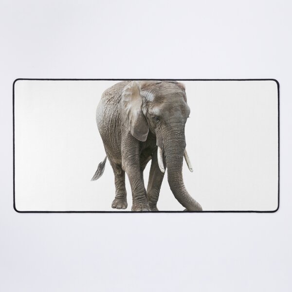 Item preview, Young African Elephant isolated on white background designed and sold by svetlanna.