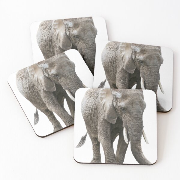Item preview, Young African Elephant isolated on white background designed and sold by svetlanna.