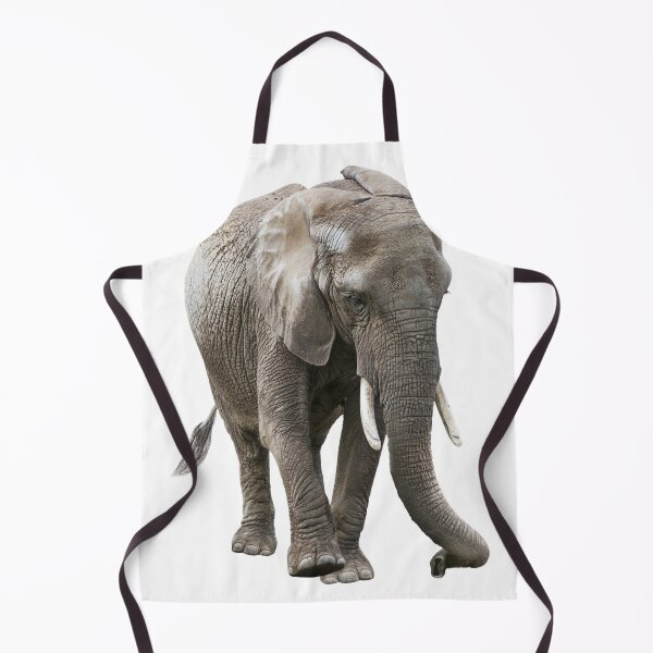 Item preview, Young African Elephant isolated on white background designed and sold by svetlanna.