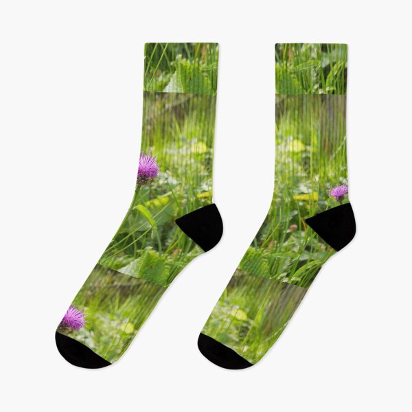 Item preview, Knapweed Flowers designed and sold by pinkal.
