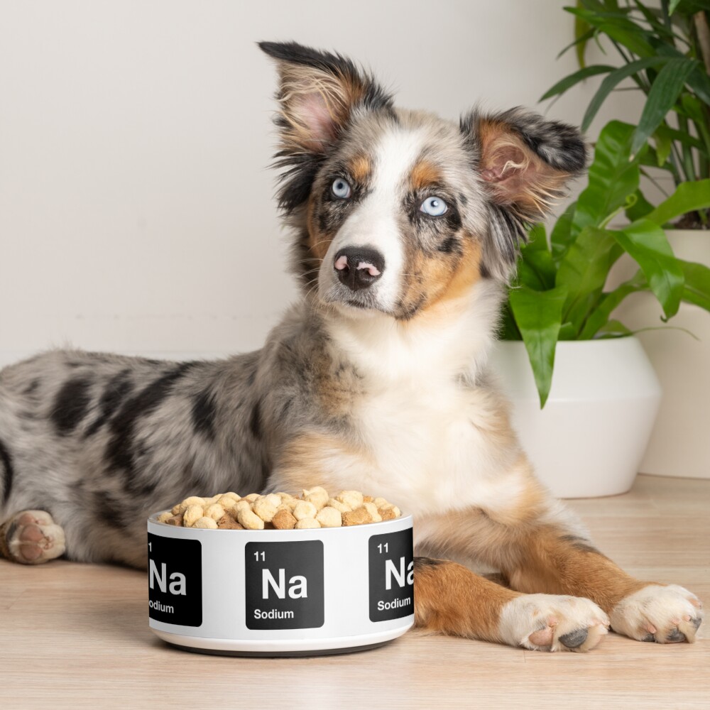 Item preview, Pet Bowl designed and sold by science-gifts.