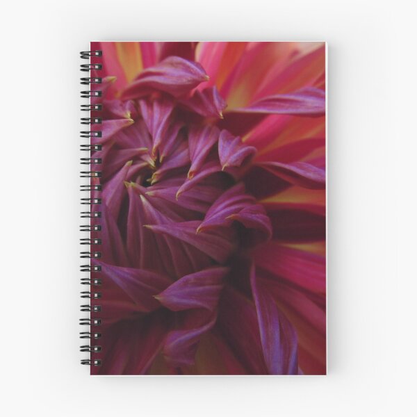 Item preview, Dalia designed and sold by Meitav.