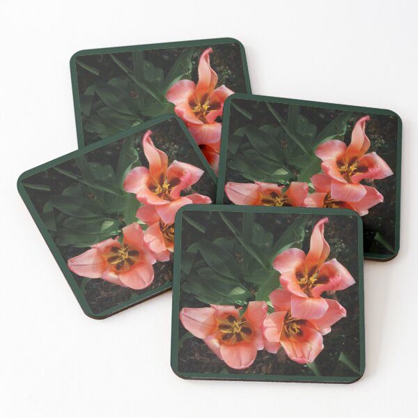Item preview, Red tulips bouquet - bold photo design designed and sold by kikidu21.