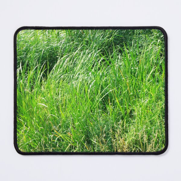 Item preview, Green grass landscape | outdoor nature landscape photography designed and sold by lausn.