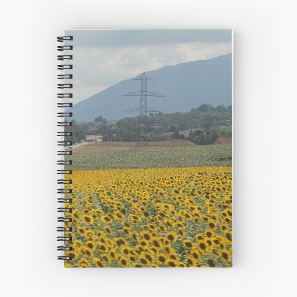 Item preview, Sunflower fields designed and sold by C Rose.