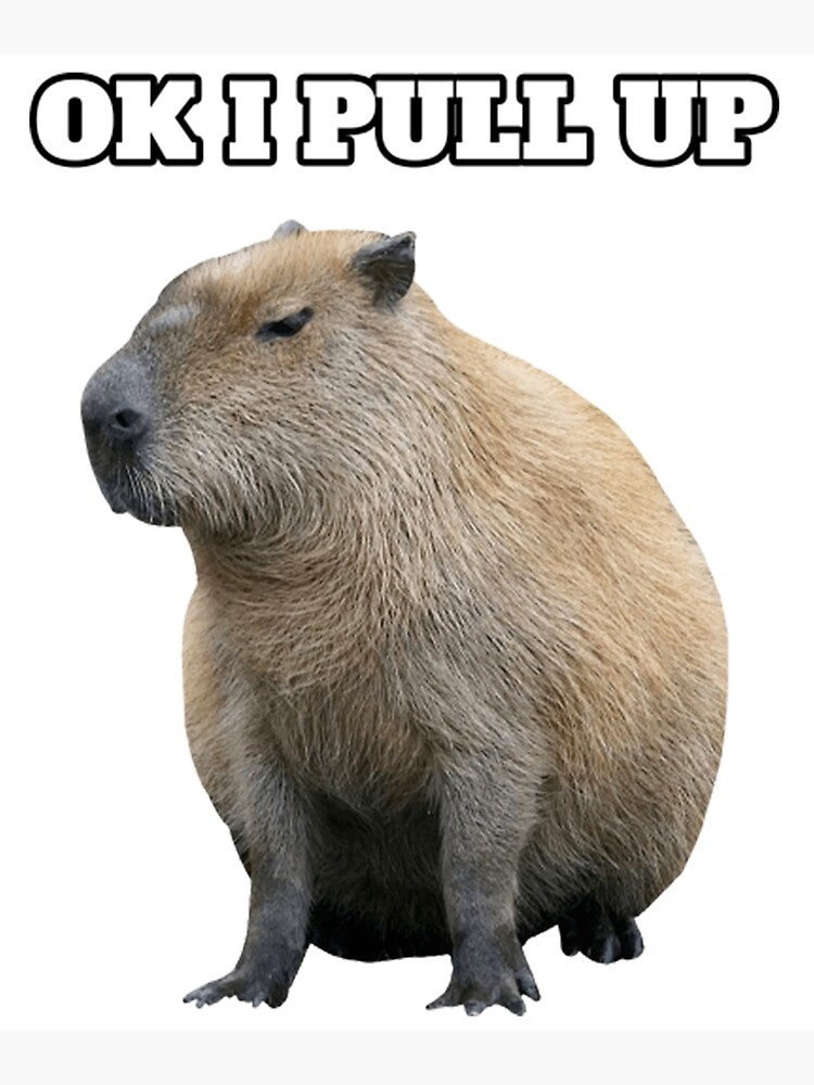  Meme Ok I Pull Up Capybara Funny Capybara Photographic Print For Sale 