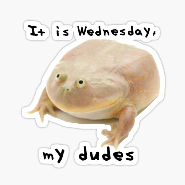 Its wednesday my dudes мем. It is Wednesday my dudes. My dudes Мем. My dudes it is Wednesday гиф.