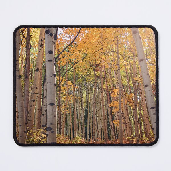 Item preview, Colorado Fall Aspens designed and sold by OryPhotography.