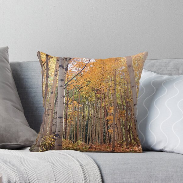 Item preview, Colorado Fall Aspens designed and sold by OryPhotography.