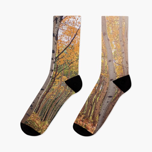 Item preview, Colorado Fall Aspens designed and sold by OryPhotography.