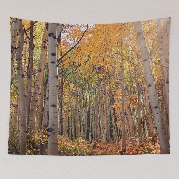 Item preview, Colorado Fall Aspens designed and sold by OryPhotography.