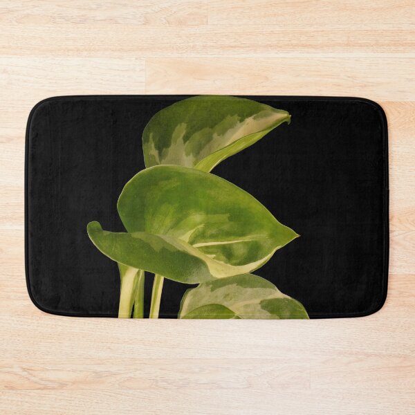 Item preview, Epipremnum Aureum Manjula (Money Plant) designed and sold by plantsbutbetter.