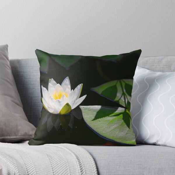 Item preview, China. Xian. Grand Mosque. Water Lily. designed and sold by vadim19.