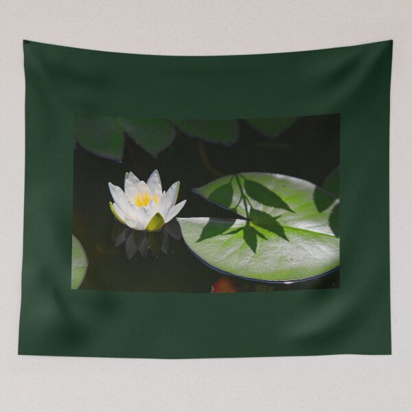 Item preview, China. Xian. Grand Mosque. Water Lily. designed and sold by vadim19.
