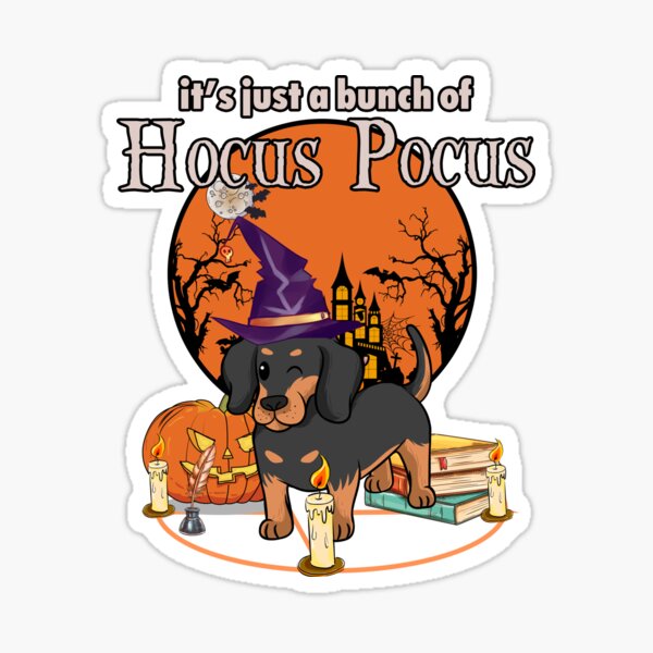 Labrador and Husky Dogs in Hocus Pocus Halloween Costume