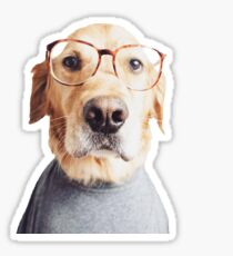 Golden in Glasses Sticker