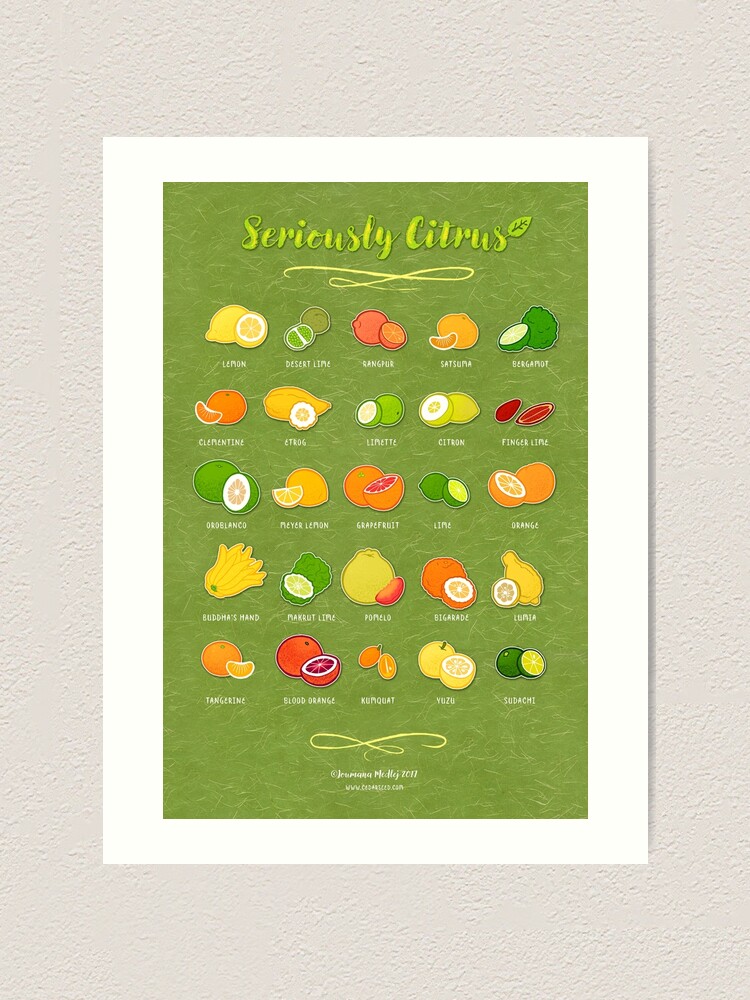 Alternate view of Seriously Citrus Art Print