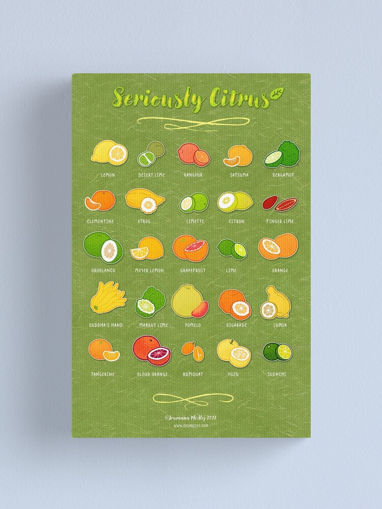 Alternate view of Seriously Citrus Canvas Print