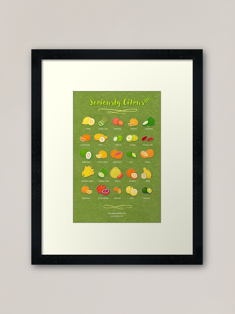Alternate view of Seriously Citrus Framed Art Print