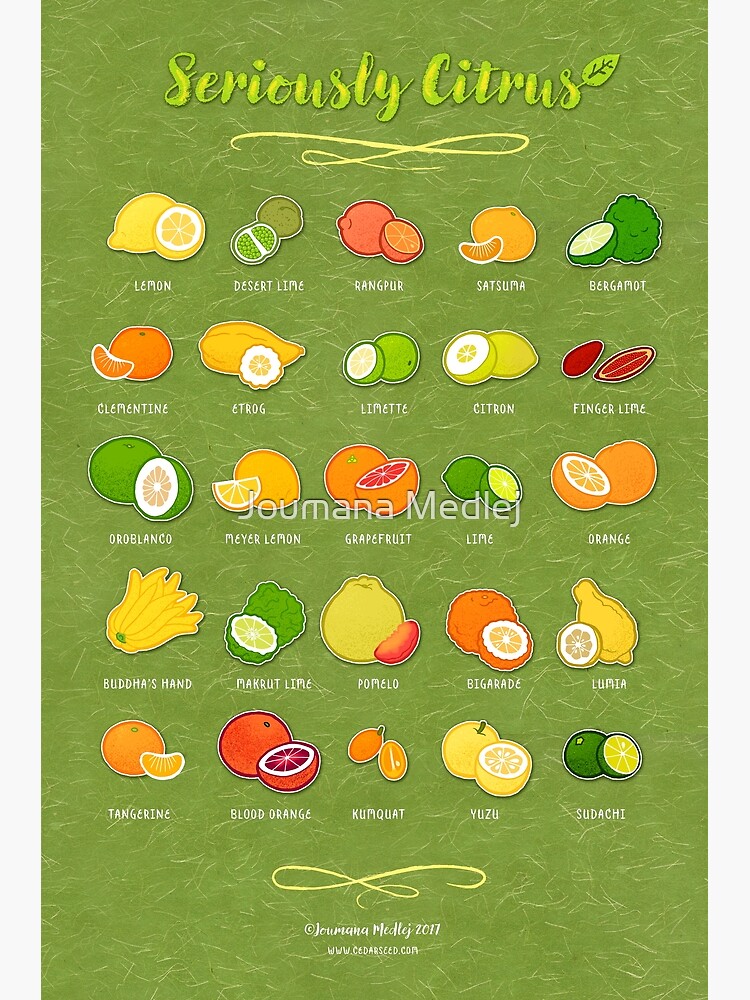 Seriously Citrus by Cedarseed