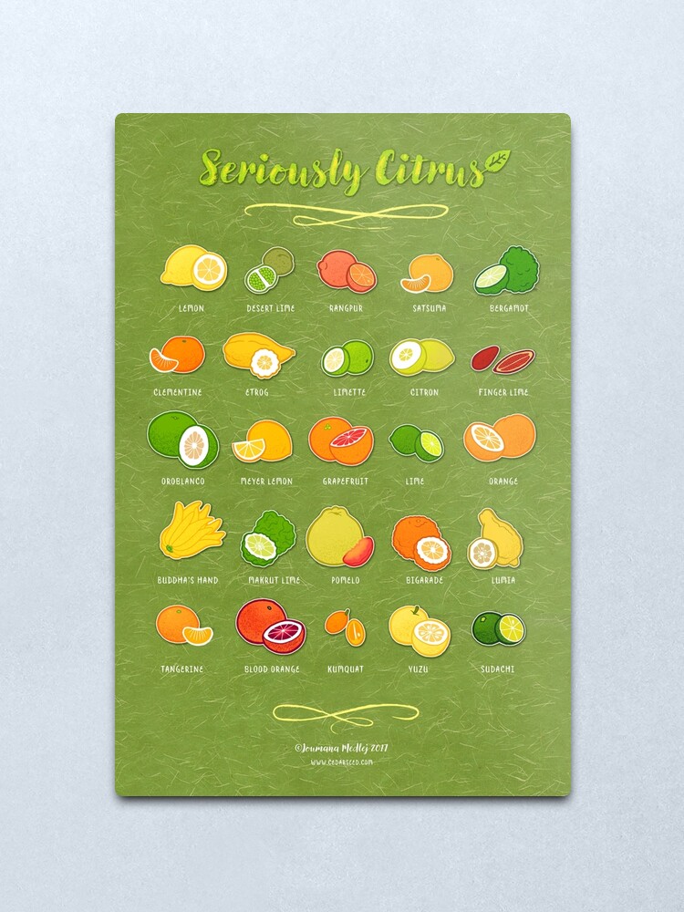 Alternate view of Seriously Citrus Metal Print