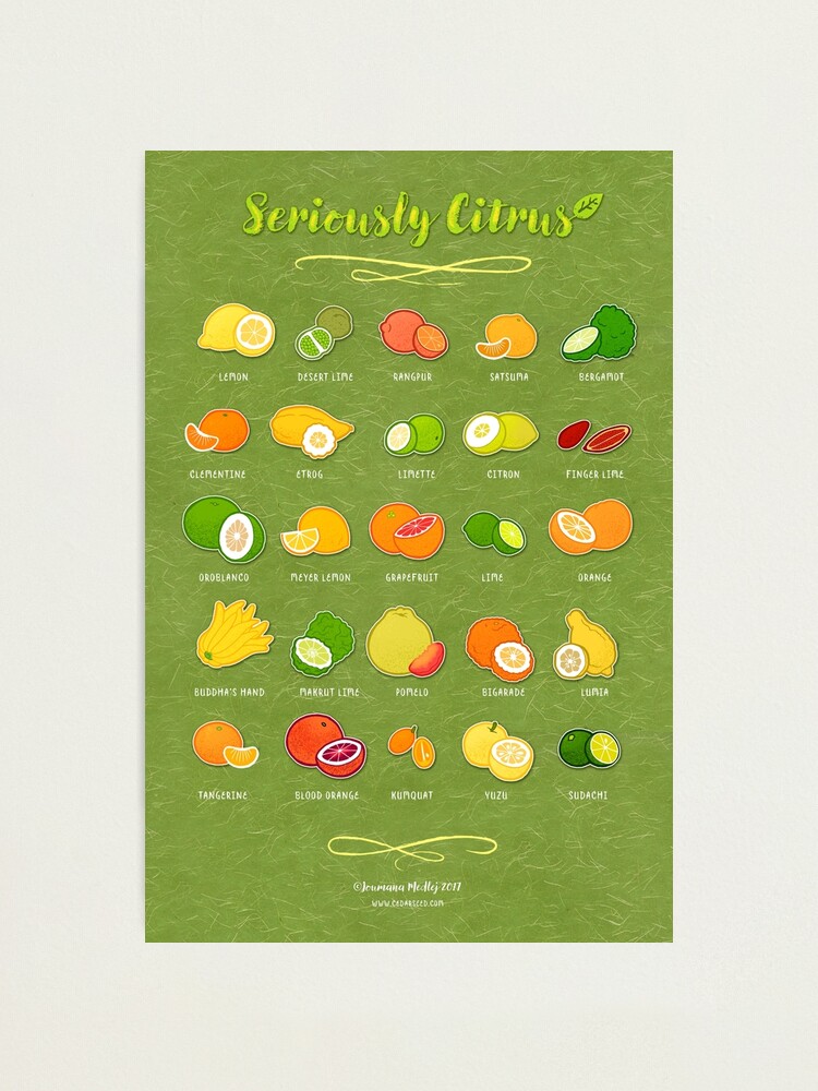 Alternate view of Seriously Citrus Photographic Print