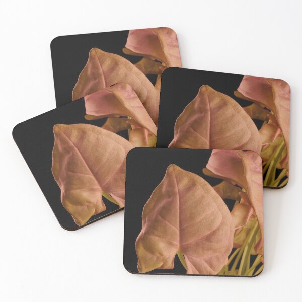 Item preview, Syngonium Neon Robusta Pink designed and sold by plantsbutbetter.
