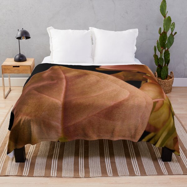 Item preview, Syngonium Neon Robusta Pink designed and sold by plantsbutbetter.