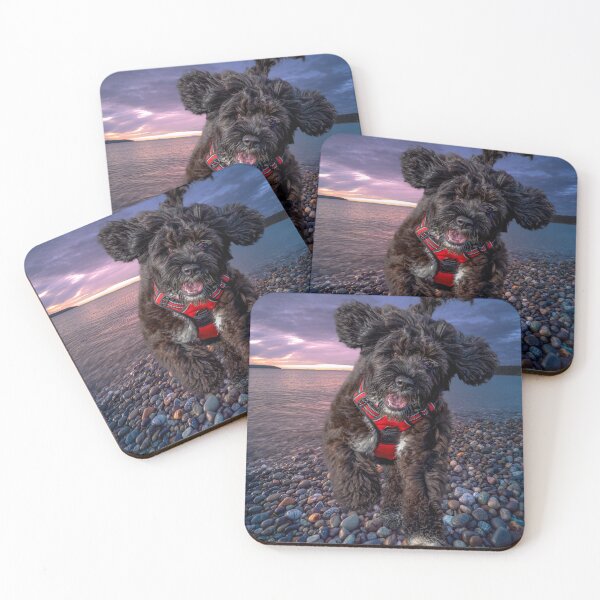 Item preview, Portuguese Water Dog Fun! designed and sold by oliviasphotos.