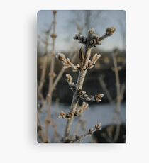 Freezing Canvas Print