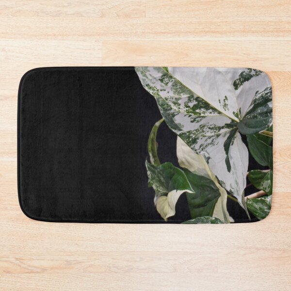 Item preview, Syngonium Albo Varigated designed and sold by plantsbutbetter.