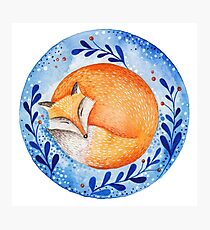 Sleeping fox Photographic Print