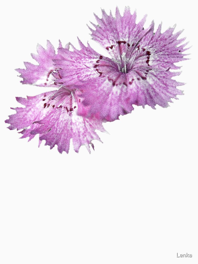 Dianthus (T-Shirt), light by Lenka