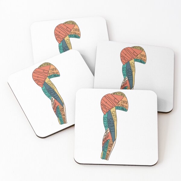 Item preview, Labeled Arm Muscle Anatomy  designed and sold by Katherine Winner.