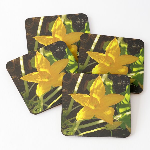 Item preview, Squash Blossom designed and sold by Lacey Schmidt.