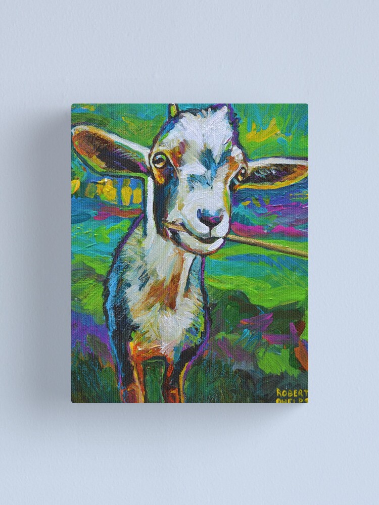 "Theodore the Goat" Canvas Print for Sale by RobertPhelpsArt Redbubble