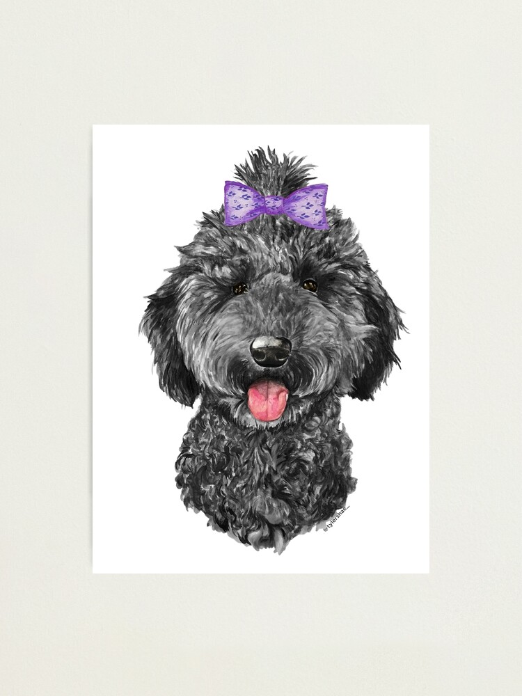 Goldendoodle hair hot sale bows