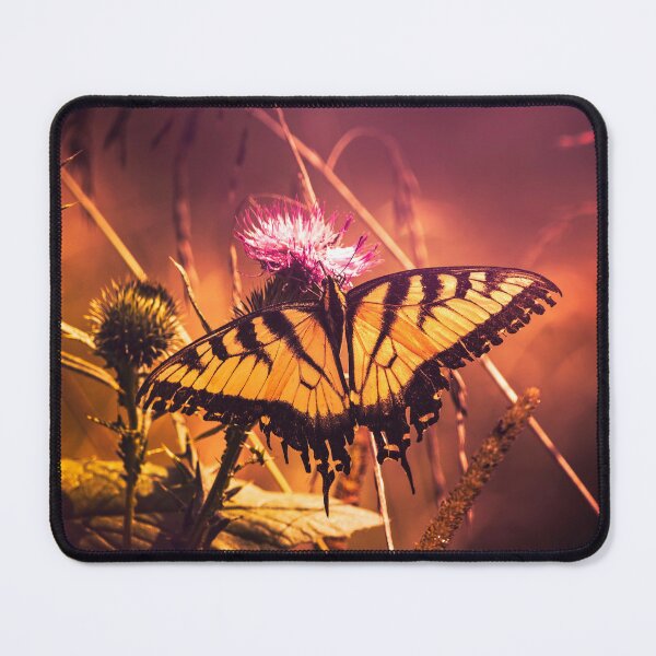 Item preview, Prickly Lunch designed and sold by Jim Love.