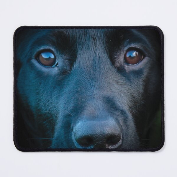 Item preview, Black Labrador face designed and sold by Dalyndigital Photography.