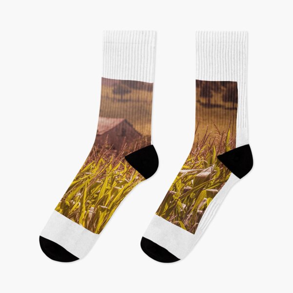 Item preview, Warm Sun On Corn designed and sold by Jim Love.