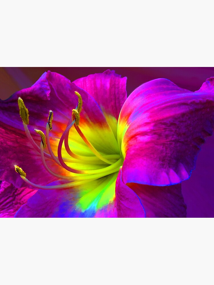 Thumbnail 2 of 2, Greeting Card, Glow Dance designed and sold by Electricmeg.